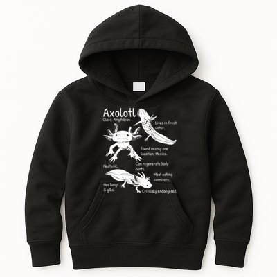 Axolotl Facts Species Types Endangered Animals Illustration  Kids Hoodie