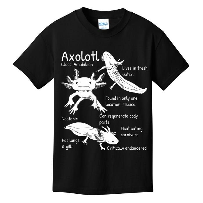 Axolotl Facts Species Types Endangered Animals Illustration  Kids T-Shirt