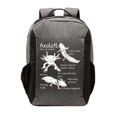 Axolotl Facts Species Types Endangered Animals Illustration  Vector Backpack