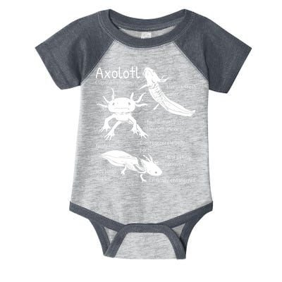 Axolotl Facts Species Types Endangered Animals Illustration  Infant Baby Jersey Bodysuit