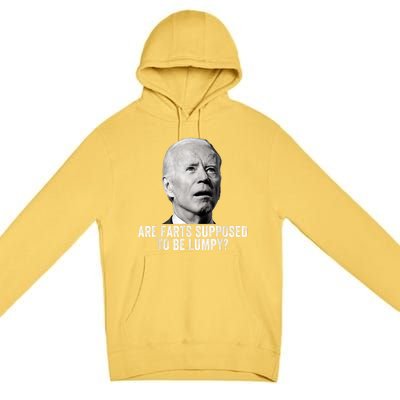 Are Farts Supposed To Be Lumpy Who Shit My Pants Premium Pullover Hoodie