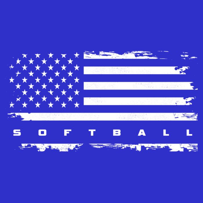 American Flag Softball Gift Softball Funny Gift 16 in Basic Backpack
