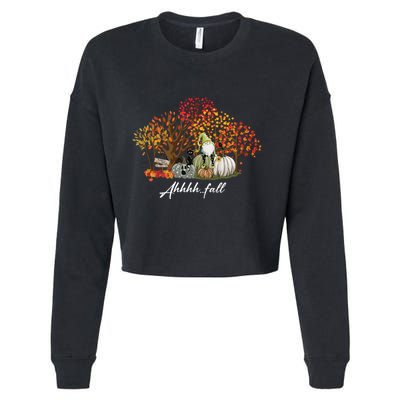 Ahh Fall Season Cropped Pullover Crew