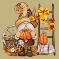 Autumn Fall Season Gnome Pumpkin Floral T-Shirt