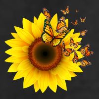 Autumn Fall Sunflower Butterflies Adult Drive Performance Visor