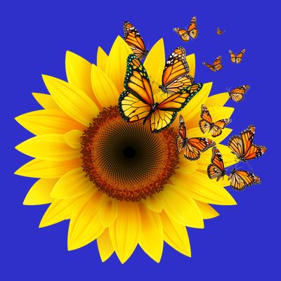 Autumn Fall Sunflower Butterflies T-Shirt