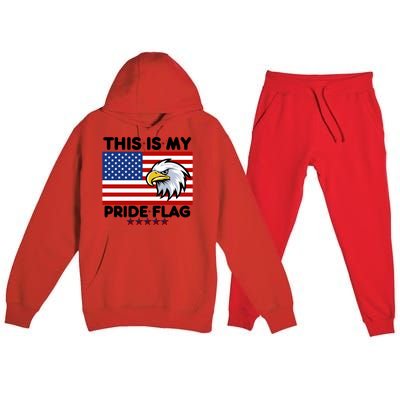 American Flag This Is My Pride Flag 2024 Eagle 4th Of July Funny Gift Premium Hooded Sweatsuit Set