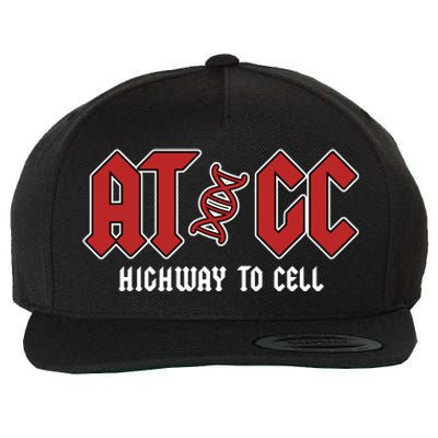 Atgc Funny Teacher Student Biology Wool Snapback Cap