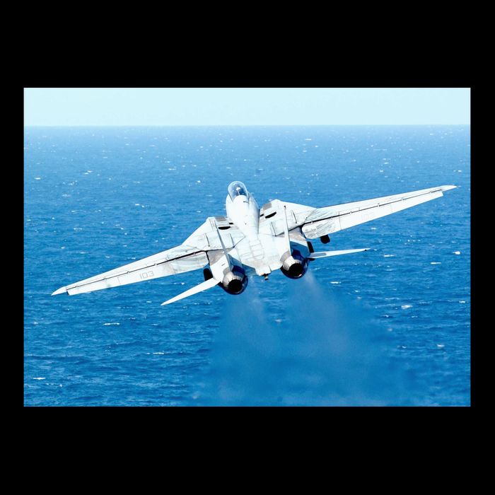 An F14d Tomcat From The Tomcatters Of Fighter Squadron Three One (Vf 31) 16 in Basic Backpack