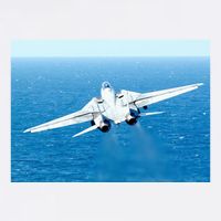 An F14d Tomcat From The Tomcatters Of Fighter Squadron Three One (Vf 31) Bucket Hat