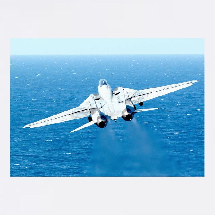 An F14d Tomcat From The Tomcatters Of Fighter Squadron Three One (Vf 31) Bucket Hat