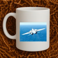 An F14d Tomcat From The Tomcatters Of Fighter Squadron Three One (Vf 31) Mug