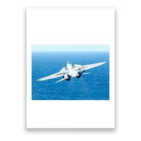 An F14d Tomcat From The Tomcatters Of Fighter Squadron Three One (Vf 31) Poster