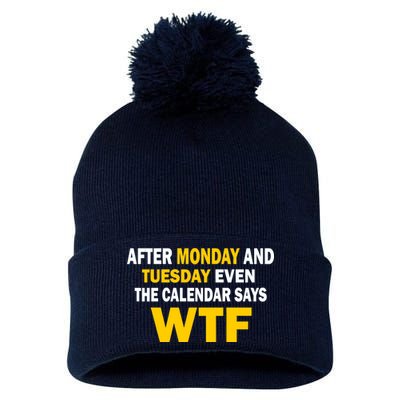 After Monday and Tuesday WTF Pom Pom 12in Knit Beanie