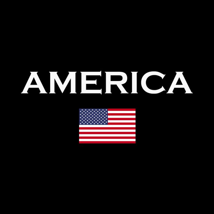America Flag | Usa Flag Of The Democratic Country Kids Hoodie