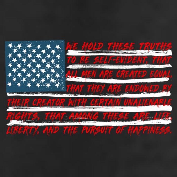 American Flag Us Flag Gift Declaration Of Independence Freedom Funny Gift 11oz C Handle Ceramic Mug