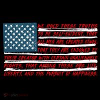 American Flag Us Flag Gift Declaration Of Independence Freedom Funny Gift Flatbill Hat