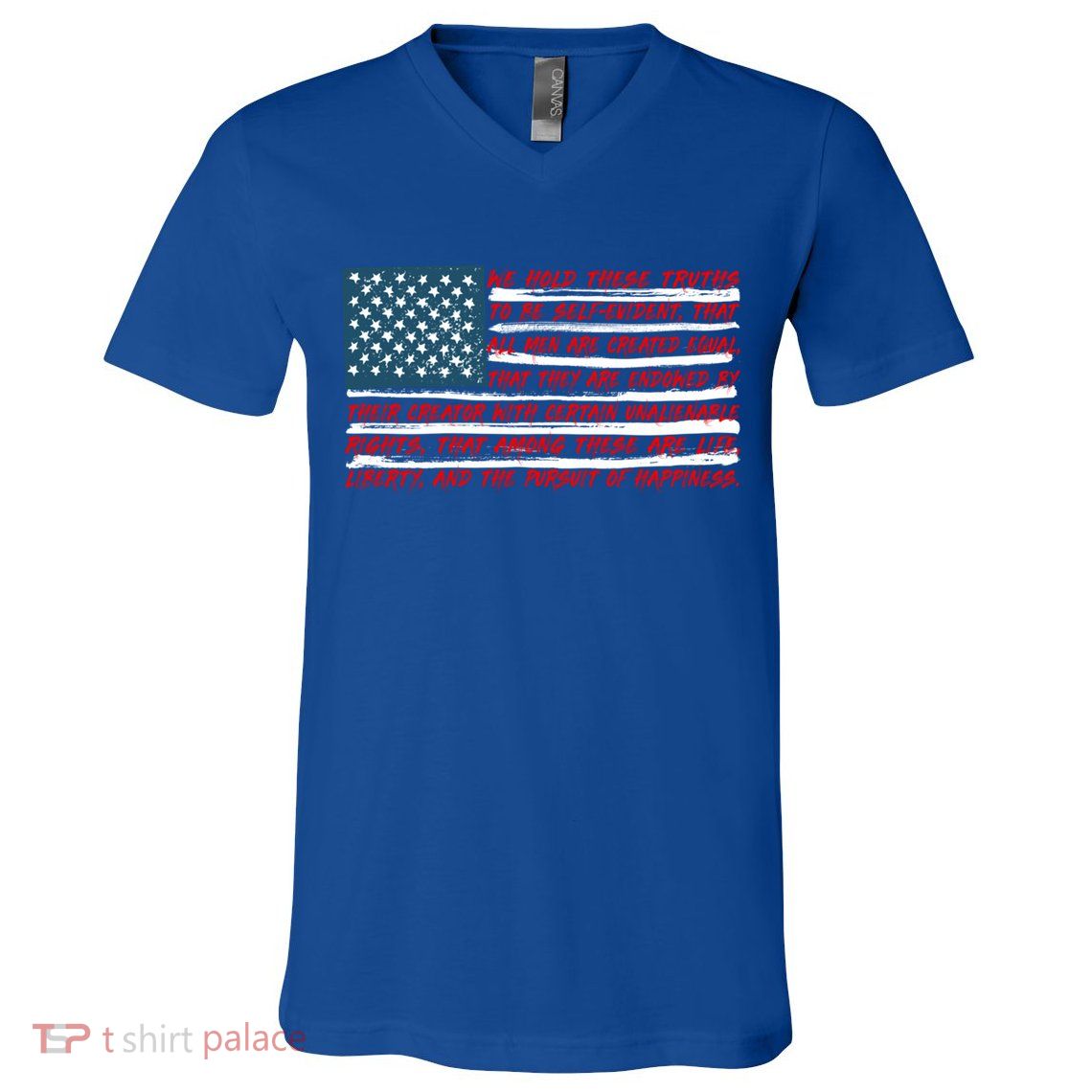 American Flag Us Flag Gift Declaration Of Independence Freedom Funny Gift V-Neck T-Shirt