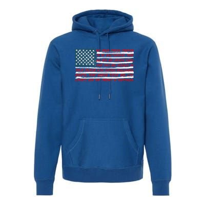 American Flag Us Flag Gift Declaration Of Independence Freedom Funny Gift Premium Hoodie