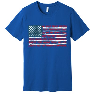 American Flag Us Flag Gift Declaration Of Independence Freedom Funny Gift Premium T-Shirt