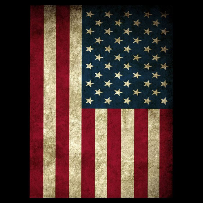 American Flag Vintage Distress Flatbill Hat