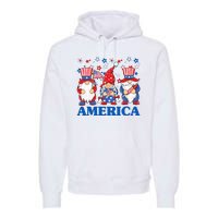 America Gnome 4th Of July Celebration Premium Hoodie