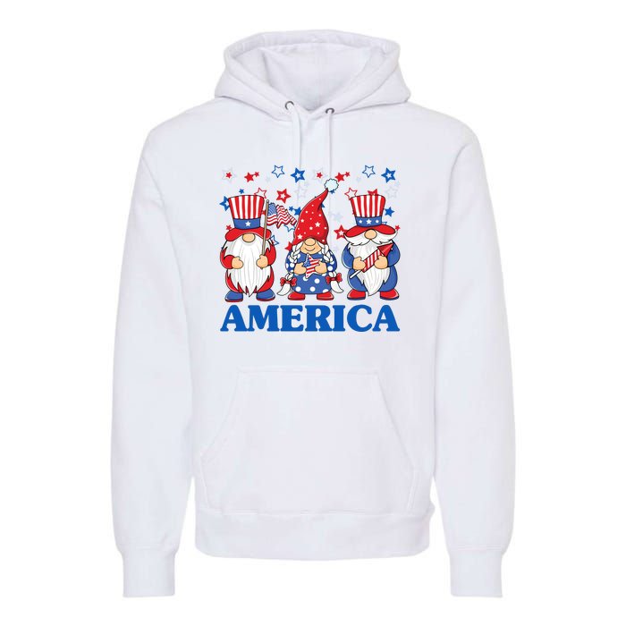 America Gnome 4th Of July Celebration Premium Hoodie