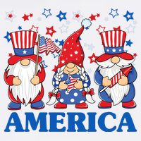 America Gnome 4th Of July Celebration Toddler T-Shirt