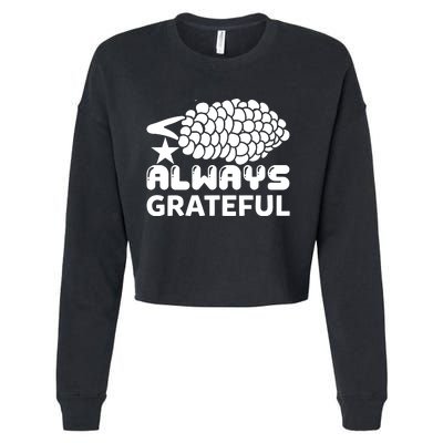 Always Grateful Cropped Pullover Crew