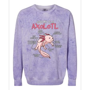 Axolotl Gift Axolotl Stuff Anatomy Of An Axolotl Colorblast Crewneck Sweatshirt