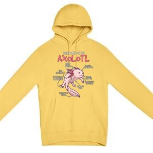 Axolotl Gift Axolotl Stuff Anatomy Of An Axolotl Premium Pullover Hoodie