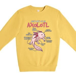 Axolotl Gift Axolotl Stuff Anatomy Of An Axolotl Premium Crewneck Sweatshirt