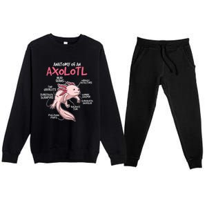 Axolotl Gift Axolotl Stuff Anatomy Of An Axolotl Premium Crewneck Sweatsuit Set