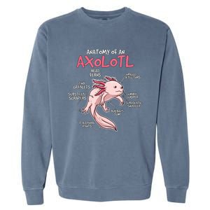 Axolotl Gift Axolotl Stuff Anatomy Of An Axolotl Garment-Dyed Sweatshirt