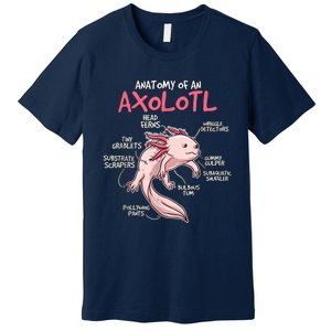 Axolotl Gift Axolotl Stuff Anatomy Of An Axolotl Premium T-Shirt