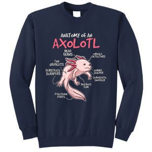 Axolotl Gift Axolotl Stuff Anatomy Of An Axolotl Tall Sweatshirt