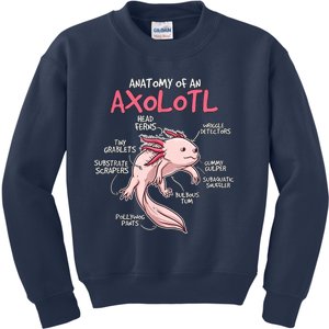 Axolotl Gift Axolotl Stuff Anatomy Of An Axolotl Kids Sweatshirt