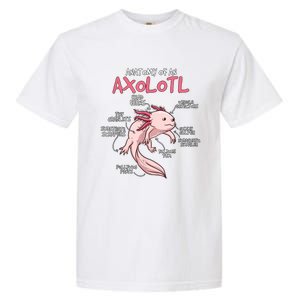 Axolotl Gift Axolotl Stuff Anatomy Of An Axolotl Garment-Dyed Heavyweight T-Shirt