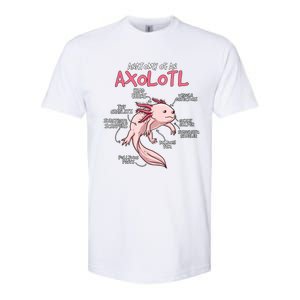 Axolotl Gift Axolotl Stuff Anatomy Of An Axolotl Softstyle CVC T-Shirt