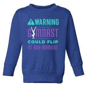 Acrobatics Gift Toddler Sweatshirt