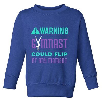 Acrobatics Gift Toddler Sweatshirt