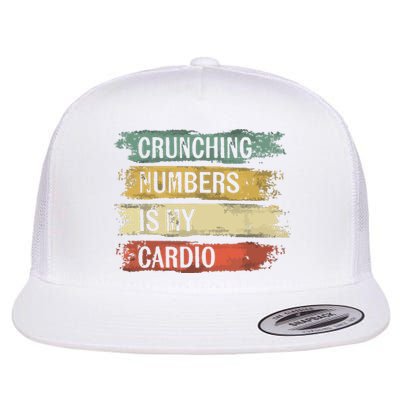 Accountant Gifts Crunching Numbers Is My Cardio Accounting Flat Bill Trucker Hat