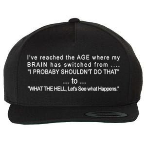 Aged Brain Funny Sarcastic Wool Snapback Cap