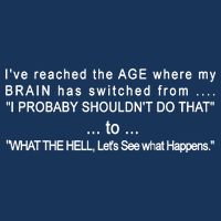 Aged Brain Funny Sarcastic Premium T-Shirt