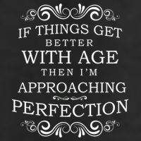 Aged To Perfection Funny Birthday Adult Drive Performance Visor