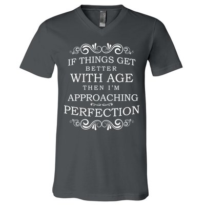 Aged To Perfection Funny Birthday V-Neck T-Shirt
