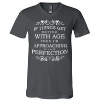 Aged To Perfection Funny Birthday V-Neck T-Shirt