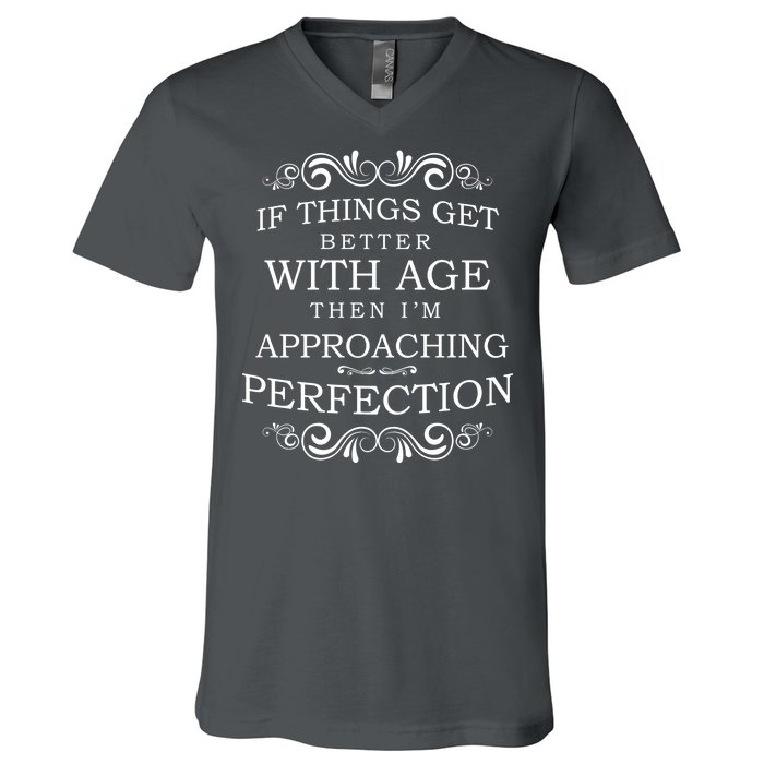 Aged To Perfection Funny Birthday V-Neck T-Shirt