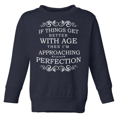 Aged To Perfection Funny Birthday Toddler Sweatshirt