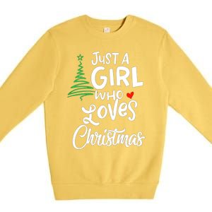 A Gift For Xmas Gift Premium Crewneck Sweatshirt